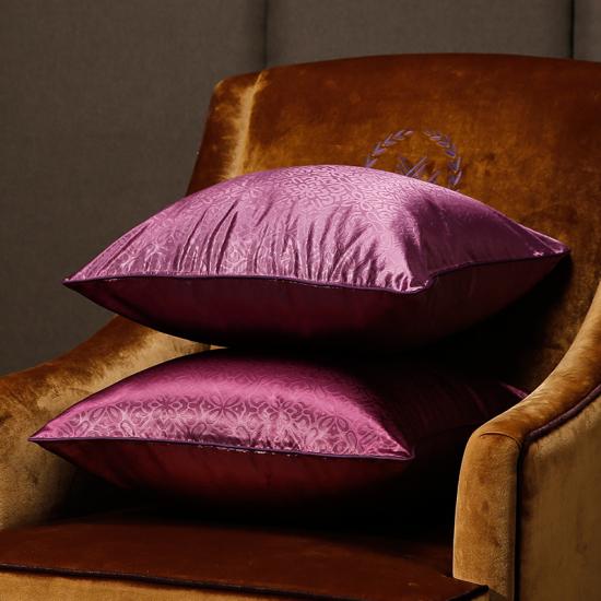 Fashion Throw Pillow Covers